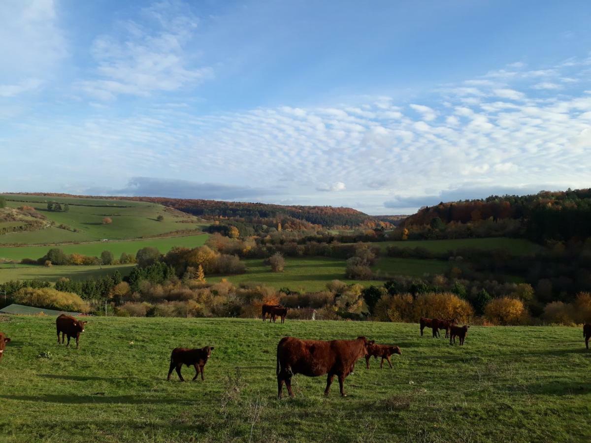 Gite Aux Lauriers Lacroix-sur-Meuse Bagian luar foto